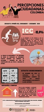 Percepciones ciudadanas Num 13 20 enero 2021